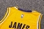 Imagem do Camiseta Los Angeles Lakers Icon Edition 22/23 #6 James - Swingman