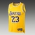 Camiseta Los Angeles Lakers Icon Edition 22/23 #23 James - Swingman