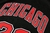 Imagem do Camiseta Chicago Bulls Statement Edition 18/19 #23 Jordan - Swingman