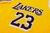 Camiseta Los Angeles Lakers Icon Edition 22/23 #23 James - Swingman - Futeverso