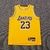 Camiseta Los Angeles Lakers Icon Edition 22/23 #23 James - Swingman na internet