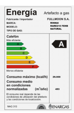 Calefón 21 Litros Digital Tiro Forzado RINNAI RAR-E210FEHB - comprar online