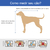 Caixa Transporte Cães/Gatos Petmate Vari Kennel Médio/200/N°4 - comprar online