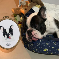 Quadro Pet Personalizado - BLACK FRIDAY ANTECIPADA! - Hygge Studio