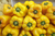 Sementes De Pimentão Amarelo: 20 Sementes - comprar online
