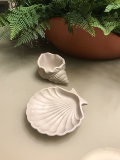 Shell Jewelry Box - buy online