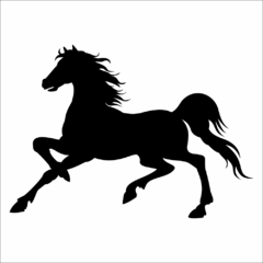 Adesivo Silhueta Cavalo de Raça MOD 01 na internet