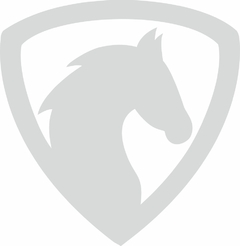 Adesivo Silhueta Cavalo de Raça MOD 03 - comprar online
