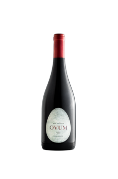 SOCAVONES OVUM MALBEC