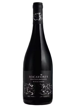 SOCAVONES PINOT NOIR-ANCELLOTTA