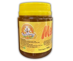 Mel de Abelhas 500g