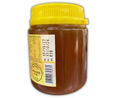 Mel de Abelhas 500g - comprar online