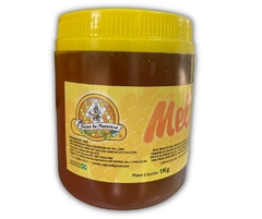 Mel de abelhas 1kg