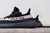 Adidas Yeezy Boost 350 V2 "Black White Real Boost" na internet