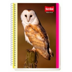 Cuaderno Forma Francesa 100H C-4542 (Scribe) en internet