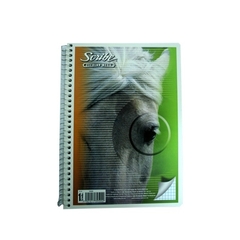 Cuaderno Forma Francesa 100H C-4542 (Scribe) - comprar en línea