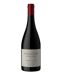 ZUCCARDI POLIGONOS TUPUNGATO ALTO MALBEC