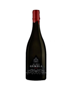 Alma Gemela Malbec