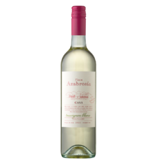 Casa Ambrosia Sauvignon Blanc