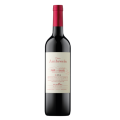 Casa Ambrosia Malbec