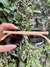 Óculos Bambu - loja online