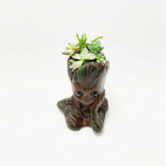 Vaso Gesso Cachepot – Groot com suculentas - Little Cactos