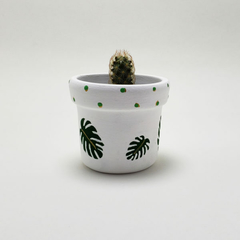 Vaso Cerâmica – Mini Costela de Adão - comprar online