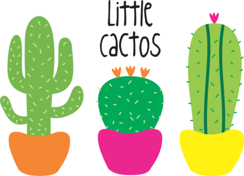 Little Cactos