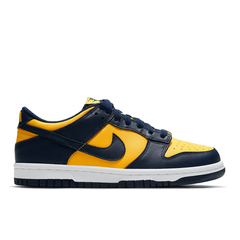 Nike Dunk Low SP Michigan