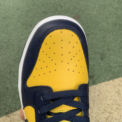 Imagem do Nike Dunk Low SP Michigan