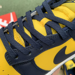 Imagem do Nike Dunk Low SP Michigan