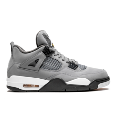 Nike Air Jordan 4 SE Titanium