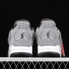 Nike Air Jordan 4 SE Titanium na internet