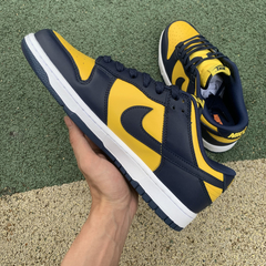 Nike Dunk Low SP Michigan na internet