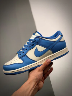 Nike Dunk Low SP Coast