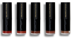 Revolution Pro Lipstick Collection Burnt Nudes - Euroglam