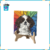 Mosaico Artesanal Shih Tzu