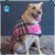 Imagen de Abrigo Para Mascota Pink Plaid Blanket Coat