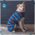 Abrigo Para Mascota Turquose Coat - La Pet Boutique Chic
