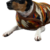 Abrigo Para Mascota Brown Southwest Coat en internet