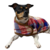 Abrigo Para Mascota Red Field Coat en internet