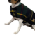Abrigo Para Mascota Navy Tartan Plaid Coat - comprar en línea