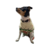 Suéter para mascota navideño beige - La Pet Boutique Chic