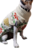 Suéter para mascota navideño beige - comprar en línea