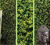 Imagem do Kit 8 Placas Outono Para Jardim Vertical Artificial