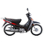 MOTOCICLETA MOTOMEL DLX 110 - comprar online