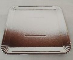 Plata Rectangular Nº 7