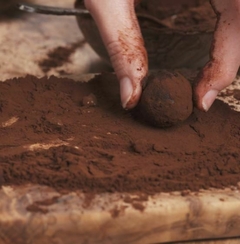 Cacau em Pó Orgânico 150g - Sattva na internet