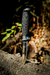 Cuchillo de Pesca Skinning - comprar online