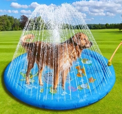 Piscina para cães